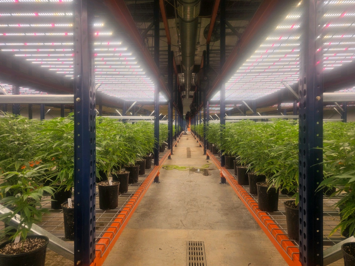Indoor cannabis cultivation facility