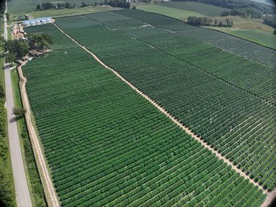 Full property aerial of cannabis farm