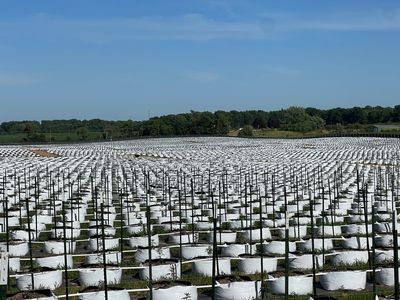 Grow bags staged across outdoor field