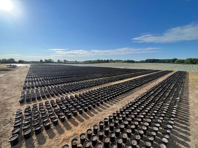 Black nursery pots staged for outdoor season