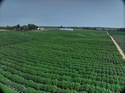 Aerial view with greenhouse structures